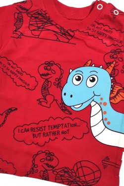 Dinozor Baskılı İkili Takım Dinozor Baskılı İkili Takım